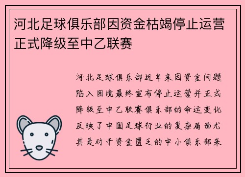 河北足球俱乐部因资金枯竭停止运营正式降级至中乙联赛